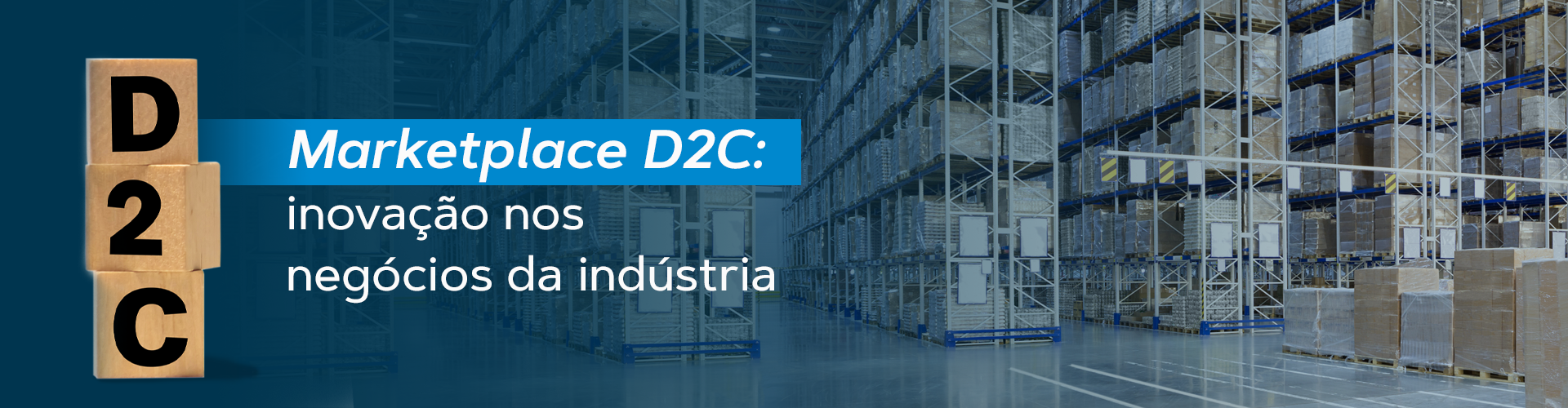 Markerplace D2C para indústria